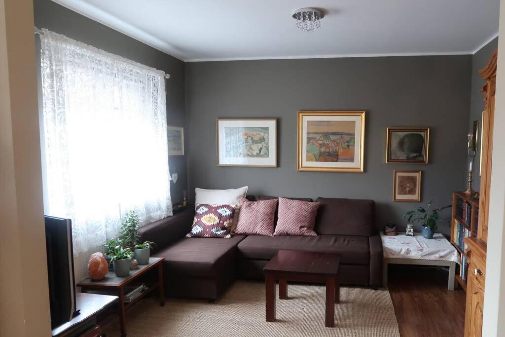 Warm And Welcoming Flat Downtown Akureyri Leilighet Eksteriør bilde